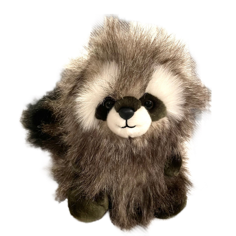 Aurora Raccoon Punkie Pacis