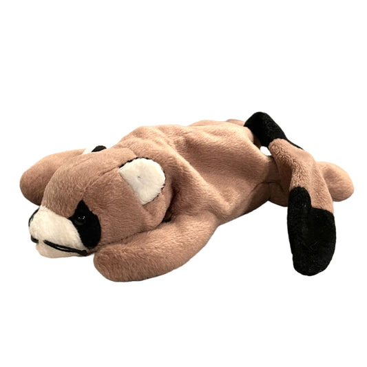 Raccoon Beanie Baby